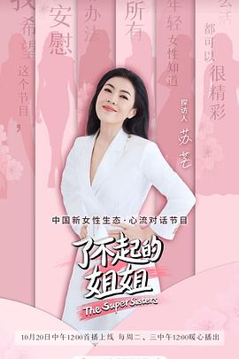 了不起的姐姐封面图