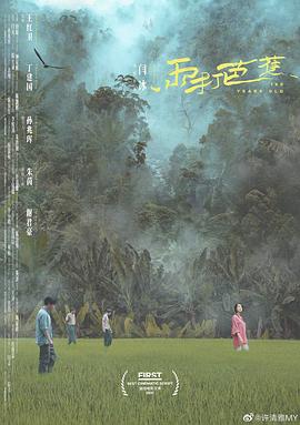 雨打芭蕉封面图