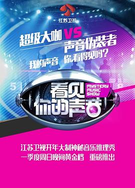 看见你的声音封面图