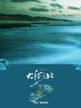 大河之北封面图