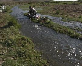 心灵风暴封面图