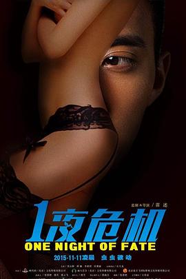 一夜危机封面图