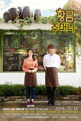 黄金口袋封面图