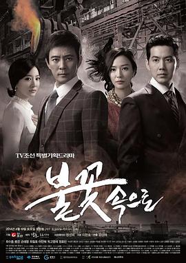 到火花中去封面图