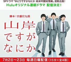 我是山岸，有何贵干封面图