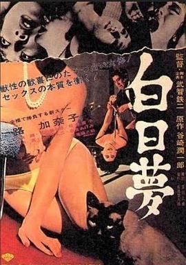 白日梦封面图