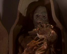 木乃伊之吻封面图