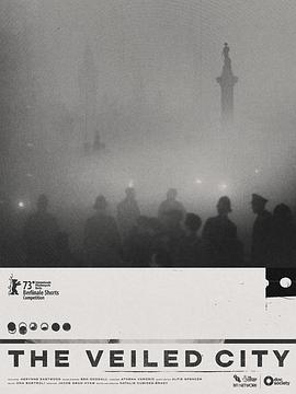 蒙纱之城封面图