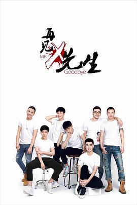 再见x先生封面图