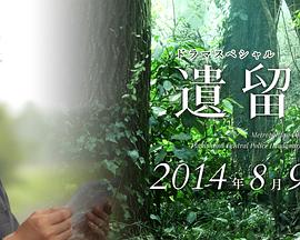 遗留捜査 2014特别篇封面图