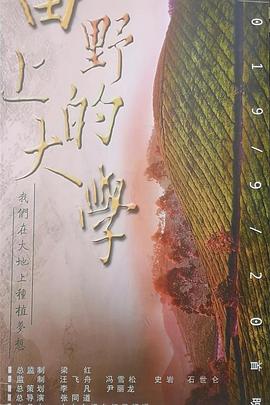 田野上的大学封面图