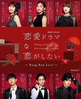 想谈一场偶像剧般的恋爱 第五季封面图