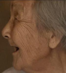 凤凰大视野  最后的“慰安妇”封面图