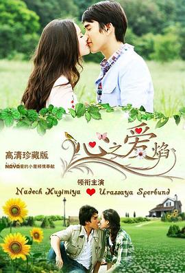 心之爱焰封面图