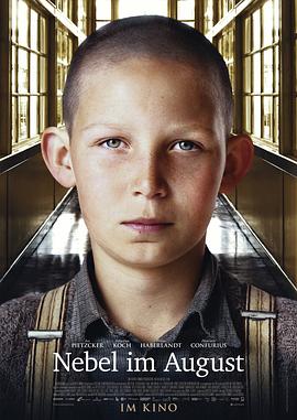 八月的雾封面图