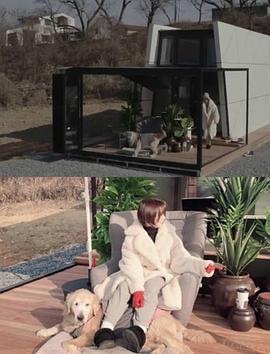 无业日记封面图