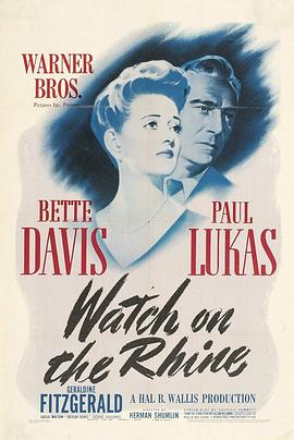 守卫莱茵河封面图