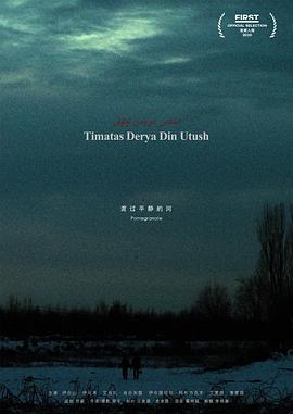 渡过平静的河封面图