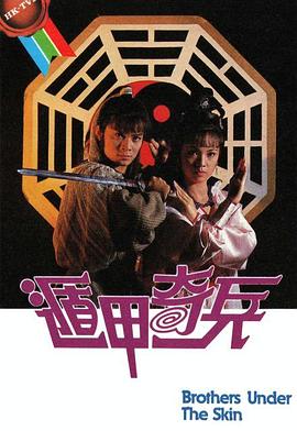 遁甲奇兵封面图