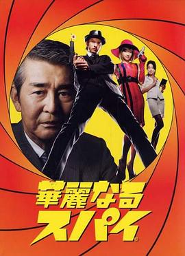 华丽的间谍封面图