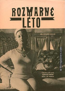 反复无常的夏天封面图