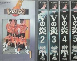 V之炎封面图