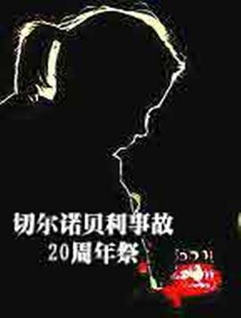 凤凰大视野 核去核从封面图