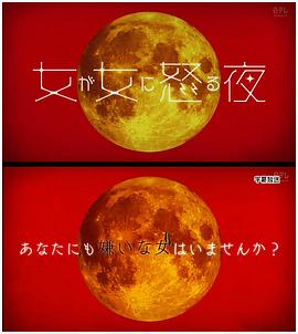 女人对女人生气的夜晚封面图