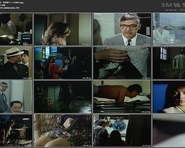 コードネーム348・女刑事サシバ封面图