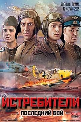 歼击机大队：再次出击封面图