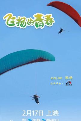 飞扬的青春封面图