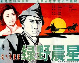 绿野晨星封面图