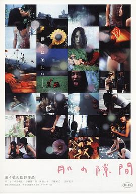 肌肤的缝隙封面图