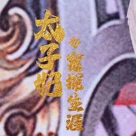 太子妃的密探生涯封面图