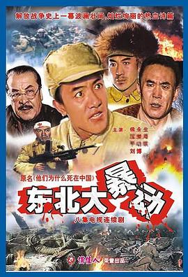 他们为什么死在中国封面图