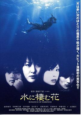 水栖之花封面图