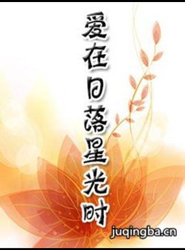 爱在日落星光时封面图