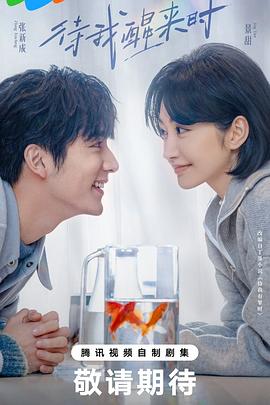 待我醒来时封面图