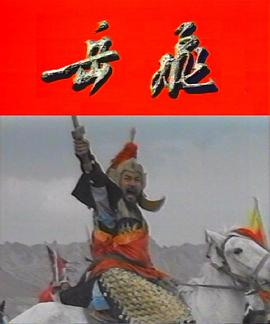 岳飞封面图