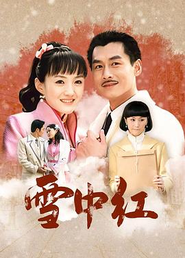 雪中红封面图