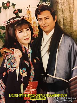 桃花传奇封面图