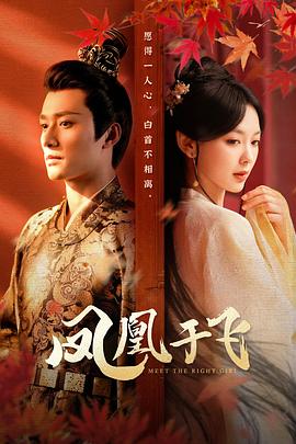 凤凰于飞封面图