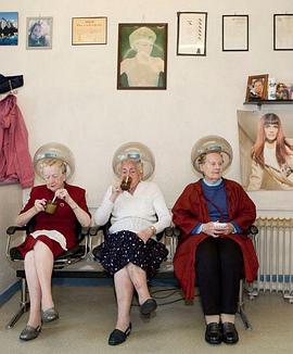 花好月圆封面图