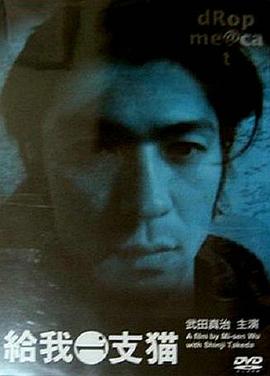 给我一支猫封面图