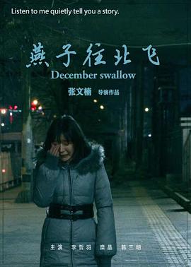 燕子往北飞封面图