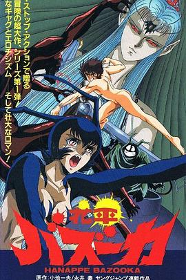 花平火箭炮封面图