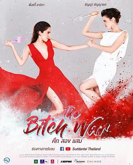 塑料姐妹花封面图