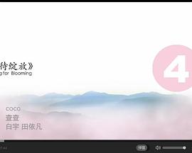 等待绽放封面图