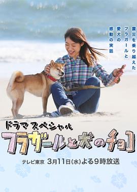 草裙舞女孩与爱犬可可封面图