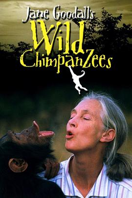 珍古德的野生黑猩猩封面图